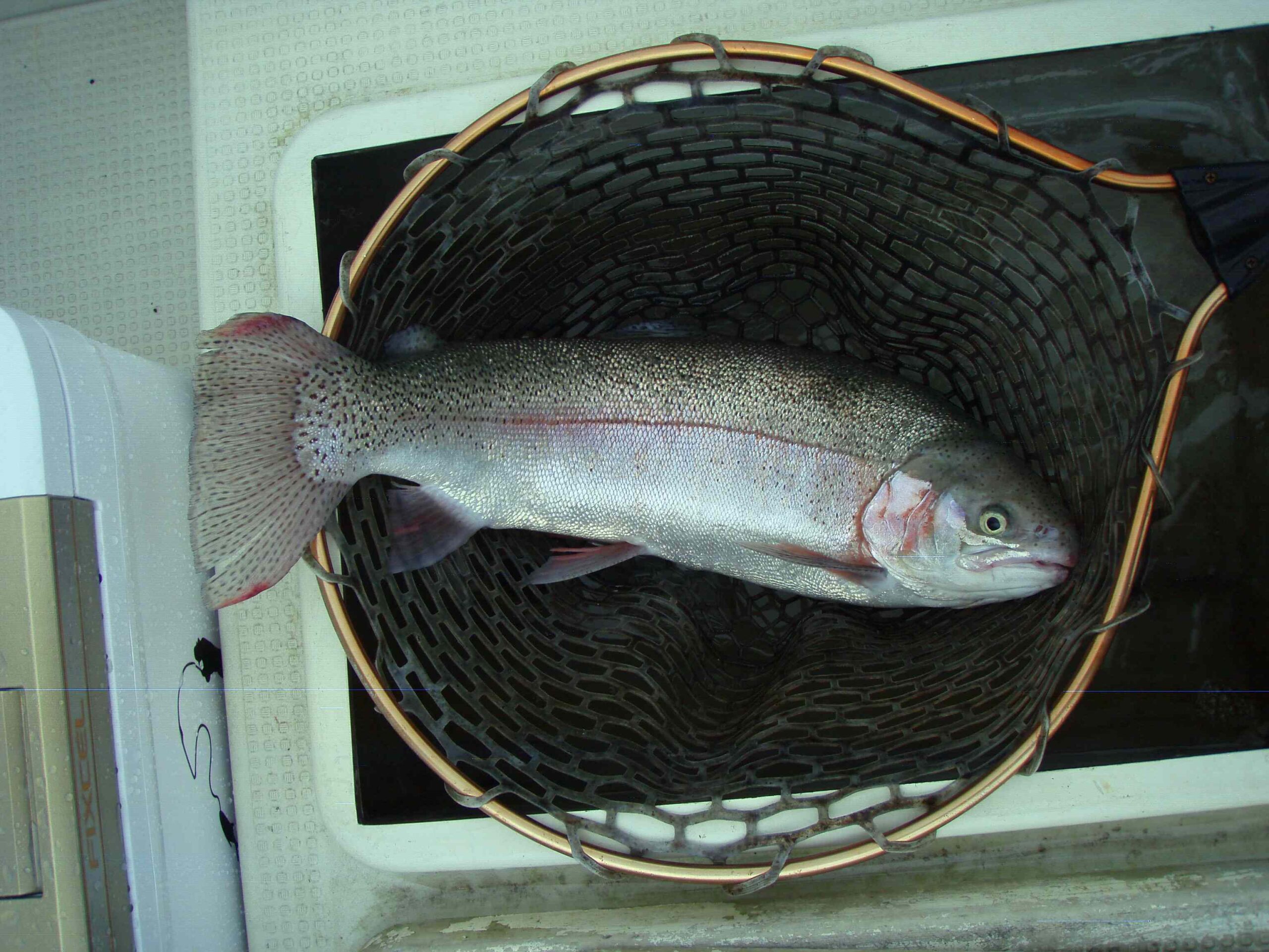 芦ノ湖フィッシングショップノザキ Nozaki